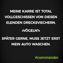 Vogelschiss.jpeg