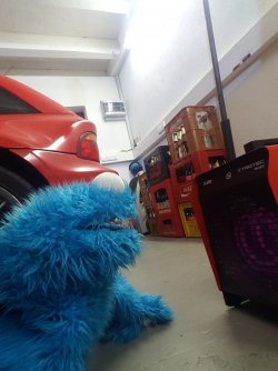 20170127_171054.jpg
