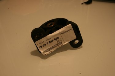 comp_IMG_7317.jpg