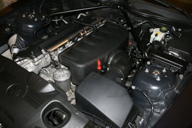 comp_IMG_7306.jpg
