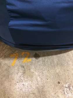 IMG_3395.JPG