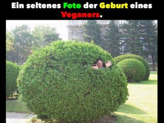 IMG-20170131-WA0013.jpg