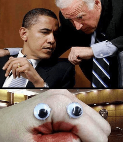 1486454375068.png