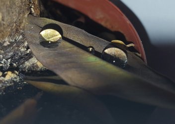 20170210_153837.jpg