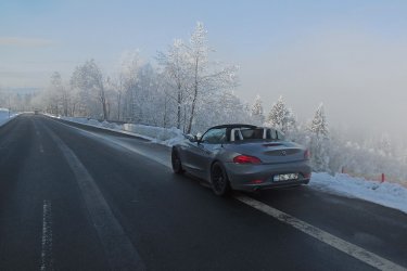 zr6168.jpg
