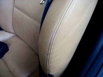 Leder Z4 004.JPG
