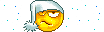 t6dbf04_35Smilie02.gif