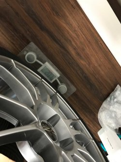 IMG_1238.JPG