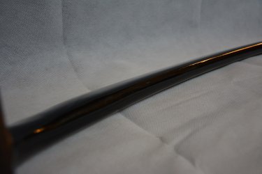 DSC_0755.JPG