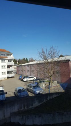 20170226_114254_resized.jpg