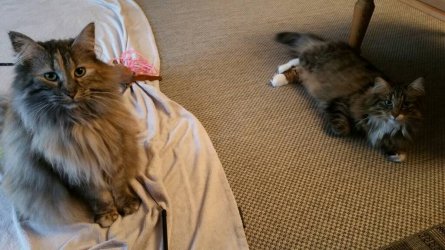 20170226_103756.jpg