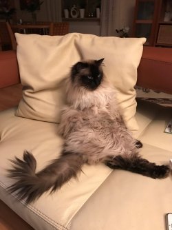 20170226_184453451_iOS.jpg