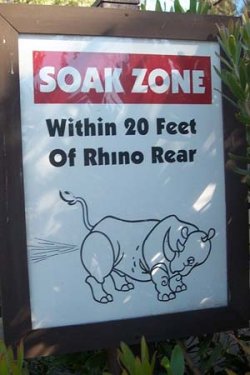 rhino.jpg