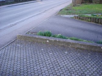 DSC01196.JPG