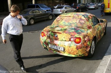 z4-laub.jpg