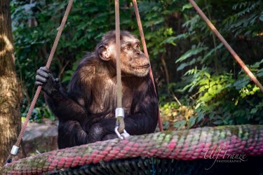 20160924_Zoo_Halle-IMG_6120.jpg