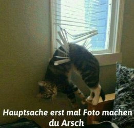 tAufzeichnen.JPG