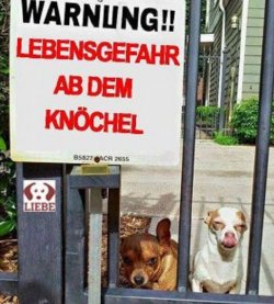 ttAufzeichnen.JPG