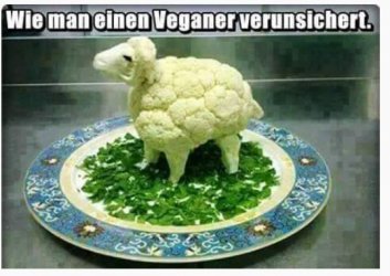 6Aufzeichnen.JPG