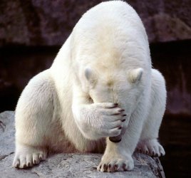 facepalm.jpg