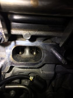 Foto 10.03.17, 13 27 17.jpg