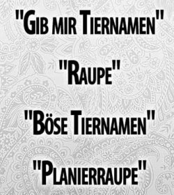2Aufzeichnen.JPG