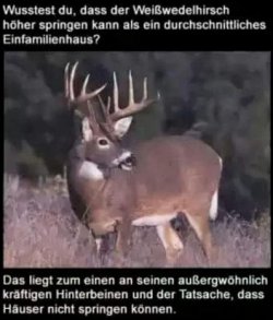 3Aufzeichnen.JPG