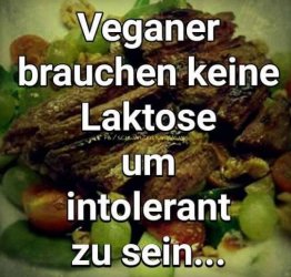 2Aufzeichnen.JPG