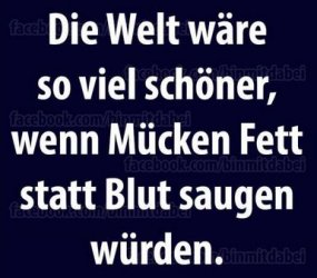bAufzeichnen.JPG