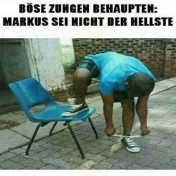 schlau.jpeg
