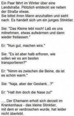 5Aufzeichnen.JPG