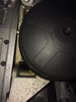 IMG_0449.JPG IMG_0449.JPG