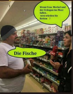 Fische.jpeg