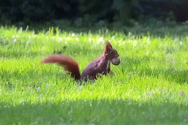 comp_DSC_8569_01.jpg