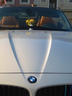 L1040747y.jpg L1040747y.jpg