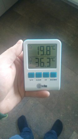 IMG_20170411_151956.jpg