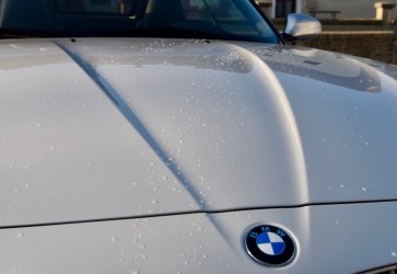 DSC_1341.jpg DSC_1341.jpg