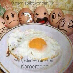 Eier.jpeg