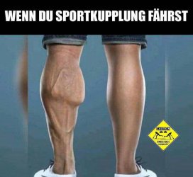 WhatsApp Image 2017-04-03 at 13.38.10.jpeg