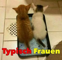 3Aufzeichnen.JPG