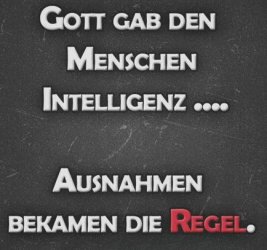 5Aufzeichnen.JPG