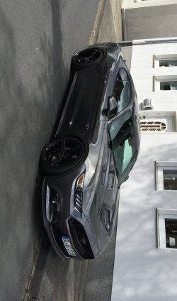 IMG_9922.JPG