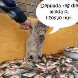tAufzeichnen.JPG