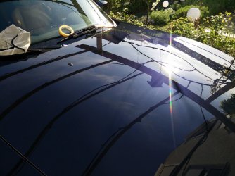 IMG_20170330_165128.jpg