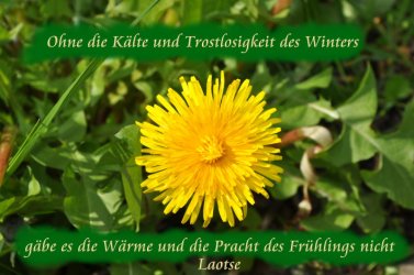 spruch_kl.JPG