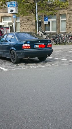 IMG_2567.JPG