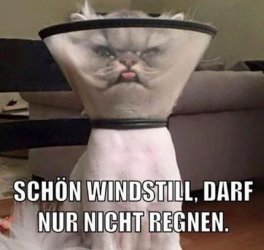 tAufzeichnen.JPG