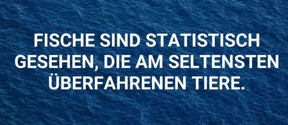 Fische.jpeg
