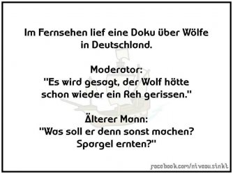 Wölfe.jpeg