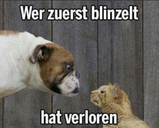 tAufzeichnen.JPG